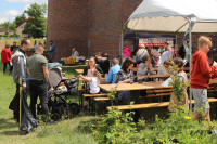 Piknik parafialny - 2024