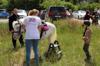 Piknik parafialny - 2024