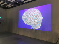 Wycieczka do Warszawy