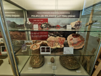 Ministranci w Muzeum Ziemi