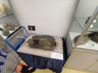 Ministranci w Muzeum Ziemi