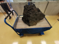 Ministranci w Muzeum Ziemi