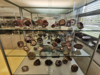 Ministranci w Muzeum Ziemi