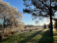 Wiosna w obiektywie Proboszcza