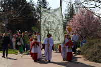 Niedziela Palmowa - Marsz dla Jezusa