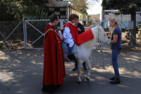 Niedziela Palmowa - Marsz dla Jezusa