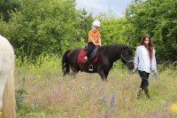 Piknik parafialny - 2025