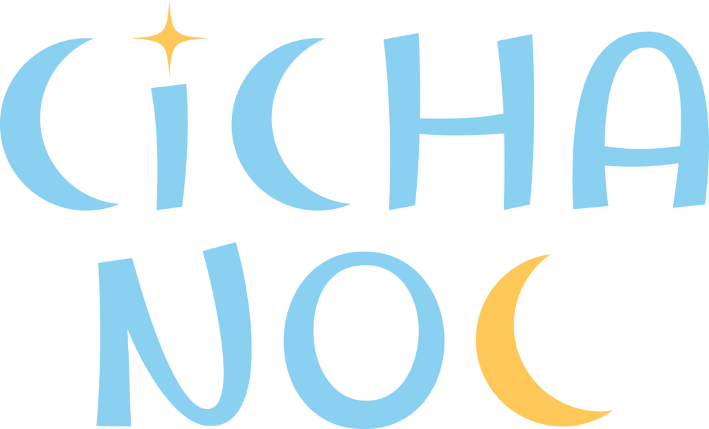 Zbiórka Fundacji "Cicha Noc"